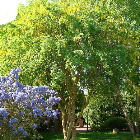Bed & Breakfast Au Jardin D'eloise